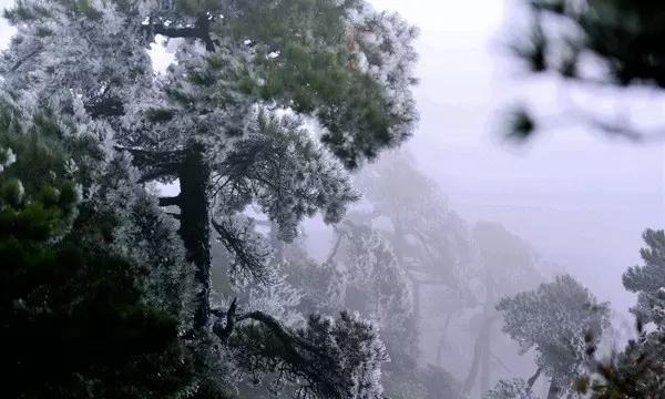 废弃诡异房逃离