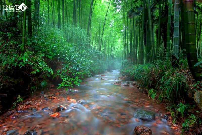夏季的雨