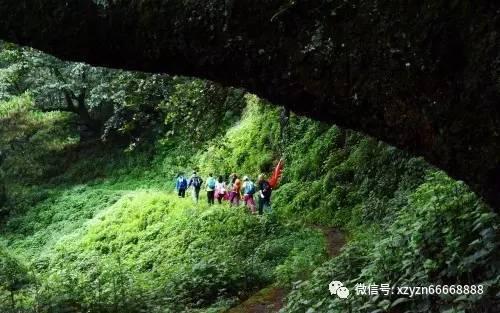 救援矮小的女孩