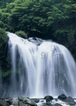 逃离逃犯藏身之处